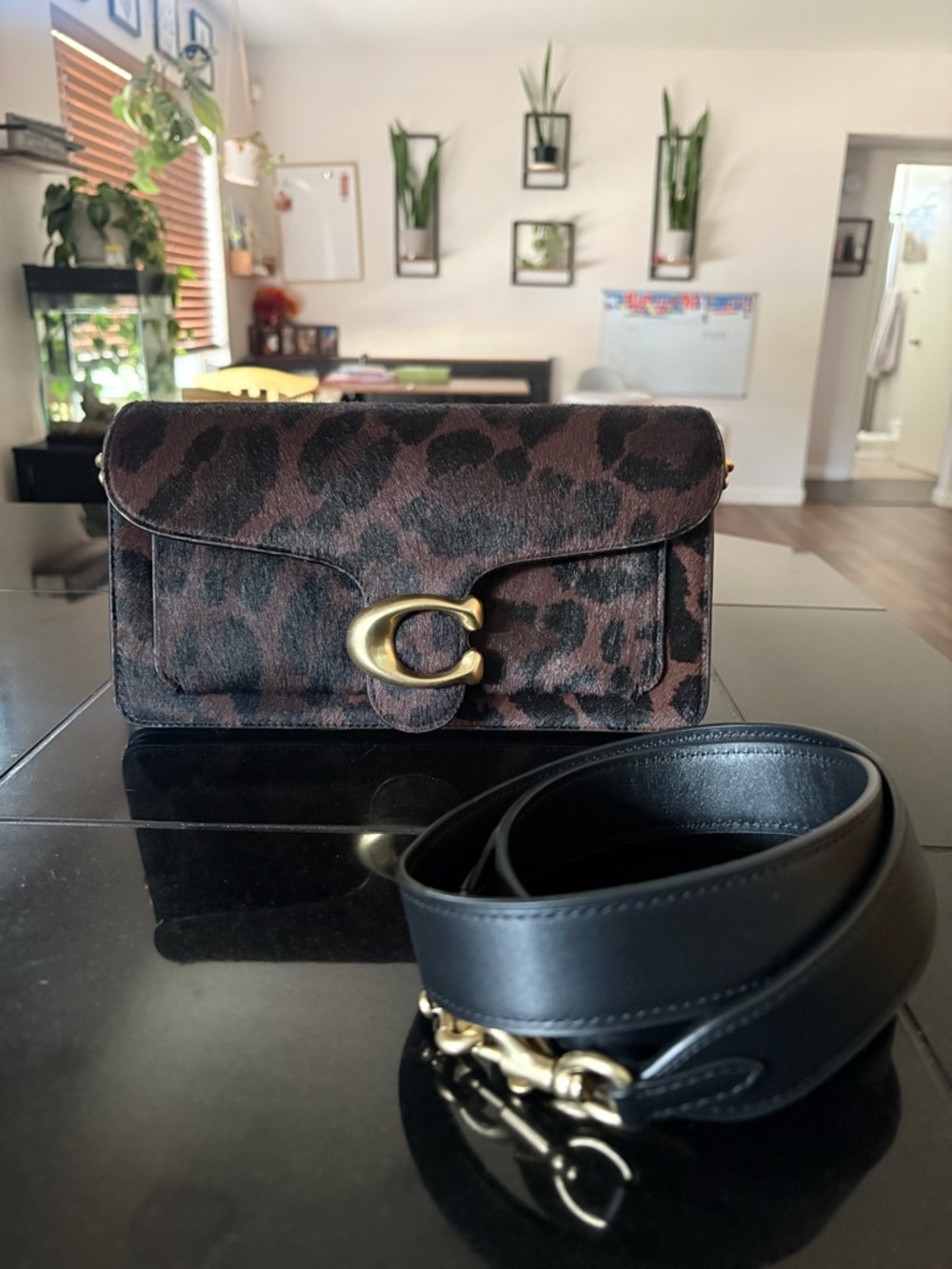 Coach haircalf leopard tabby 26